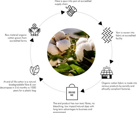 Organic Cotton Lifecycle — Direct To Source