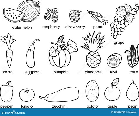 Coloring Page Big Set Of Different Fruits And Vegetables Stock Vector