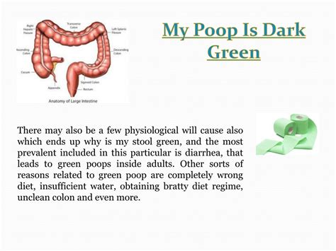 What Does It Mean If My Poop Is Different Colors The Meaning Of Color