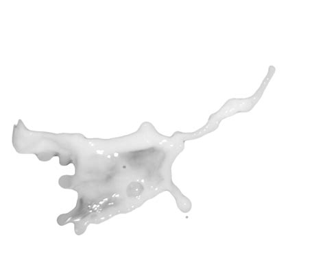 Vector Milk Splash Png Png All Png All