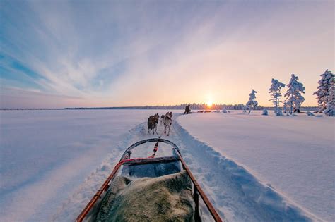 Reisjunk Lapland Travel De Ultieme Lapland Ervaring In één Week