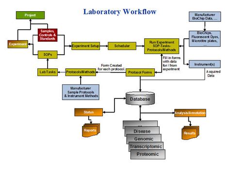 Lab Workflow