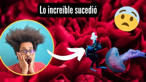 😱 Datos Curiosos Sobre Las Medusa😱medusas Animales Medusas