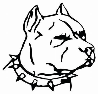Pitbull Bull Drawings Dog Face Pitbulls Decal