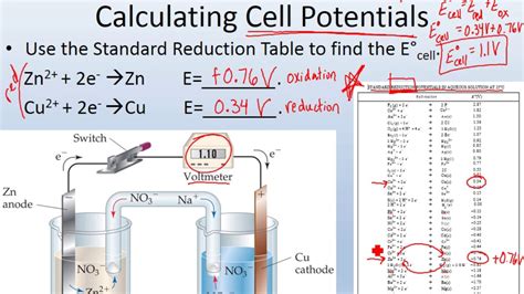 Calculating The Cell Potential Of Electrochemical Cells Adv Chem Ch