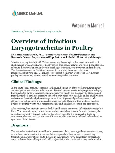 Overview Of Infectious Laryngotracheitis In Poultry Veterinary Manual