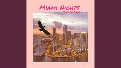 Miami Nights Youtube