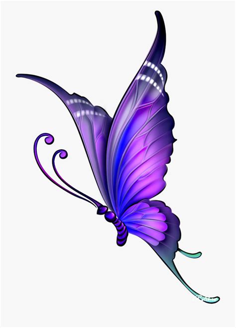 Butterfly Drawing Color Clip Art Color Drawing Of A