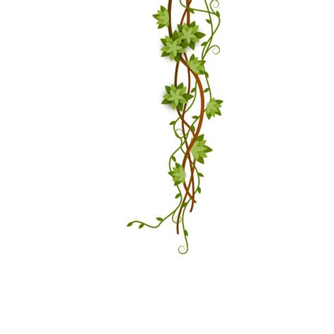 Twisted Vines Illustrations Royalty Free Vector Graphics And Clip Art