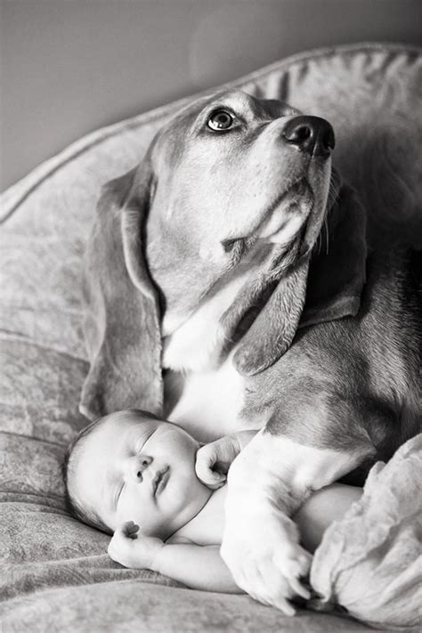 40 Cute Pictures Of Little Kids With Their Big Dogs