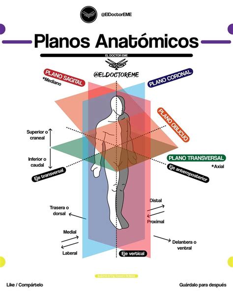 Map Instagram Medicine Studying Nursing Dibujo Sagittal Plane