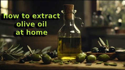 Diy How To Make Extra Virgin Olive Oil At Home Using Household
