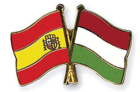 A zászló egy 60 cm hosszú műanyag rúdra van erősítve. Spanyol-magyar együttműködés az európai uniós ...
