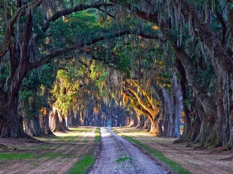 Visit These Iconic Forrest Gump Filming Locations Country Roads