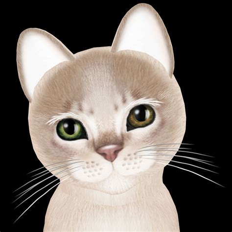 Abyssinian Lilac Fur Kittycats Breedables Wiki Fandom