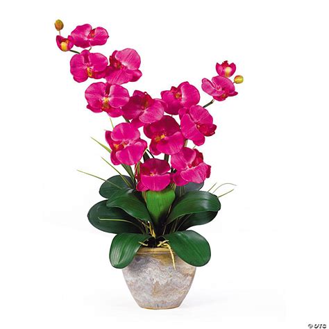 Nearly Natural Double Stem Phalaenopsis Silk Orchid Arrangement Beauty