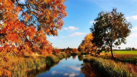 Hintergrundbilder Herbstlandschaft 4k Kostenlos