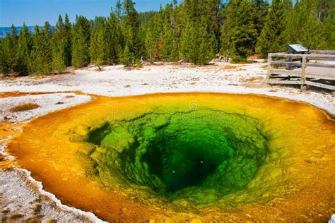 Morning Glory Pool In Yellowstone National Park Stock Photo Image Of