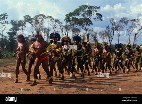 Brasil Mato Grosso Del Parque Indígena De Xingu Fotografía De Stock Alamy