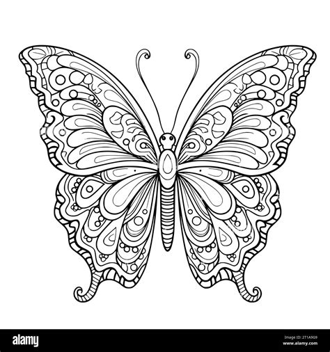 Butterfly Coloring Page For Kids Stock Vector Image And Art Alamy