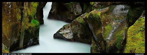 Panoramic Picturephoto Stream Flowing In Mossy Gorge Glacier