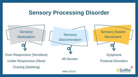 Sensory Integration Theory And Sensory Processing Whats The Difference