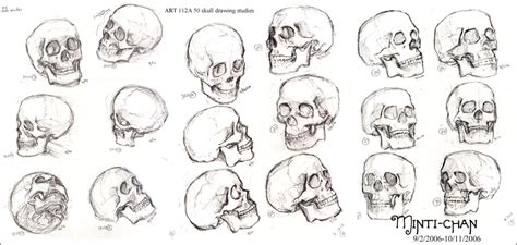 Art112a Skull Study By Gem2niki On Deviantart