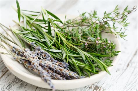 Les 5 Herbes De Provence à Consommer Pour Votre Santé