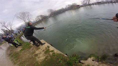 Fishing spot in robbiano, lombardia, italy. Trota Lago First Person Gopro - YouTube
