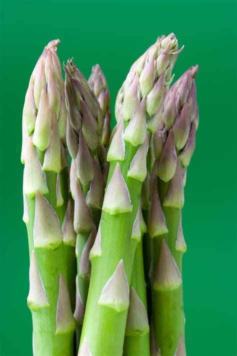 Asparagus Free Stock Photo Public Domain Pictures