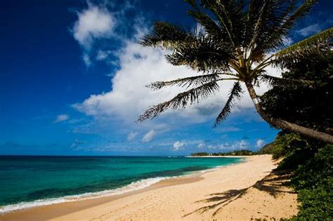 Sunset Beach North Shore Picture Of Oahu Hawaii Tripadvisor