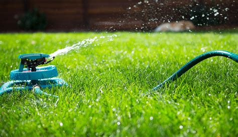 Water only once a week, but leave the sprinklers on for a long time to let the water really soak down? Best Time to Water Grass - Lawn Watering Tips | Gilmour