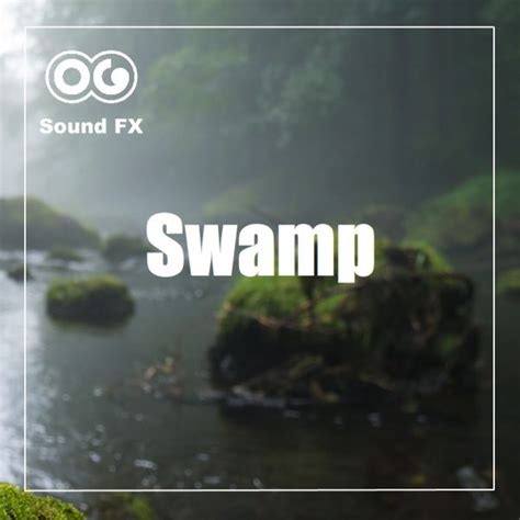 Swamp Atmosphere By Night Loop Og Soundfx High Definition Sound