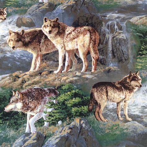 Wolf Wolves Wilderness Wildlife Fabric Alaska Wildlife Fabric By The