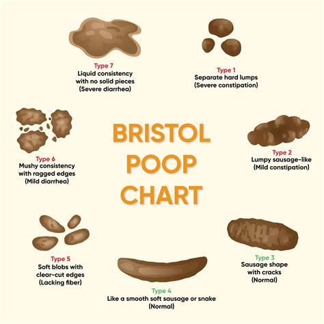 Types Of Poop And What They Mean About Your Health