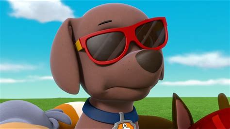 Paw Patrol Zuma Tribute To Stand Out Youtube