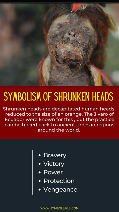 The Strange History Of Shrunken Heads Tsantas Symbol Sage