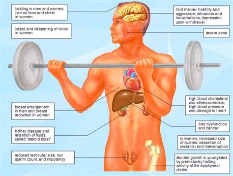 Which Is A Possible Long Term Effect Of Steroid Use Walkerminunderwood