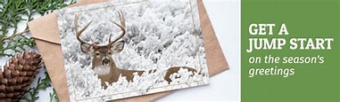 National Wildlife Federation Christmas Cards | Christmas Carol