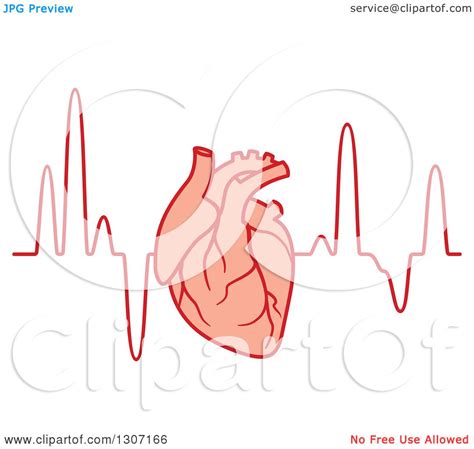 Clipart Of A Human Heart Over An Electrocardiogram Graph