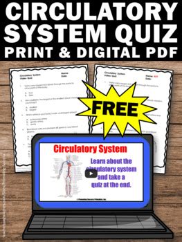 Anyone interested in the human body, and wanting to learn the systems and proper names, will love this introduction. FREE Circulatory System Worksheet, Human Body Systems ...