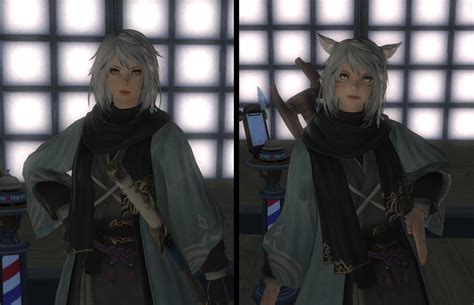 Miqo Tize Me Wanted To See How My Hyur Would Look As Miqo And Used The Retainer For It R Ffxiv