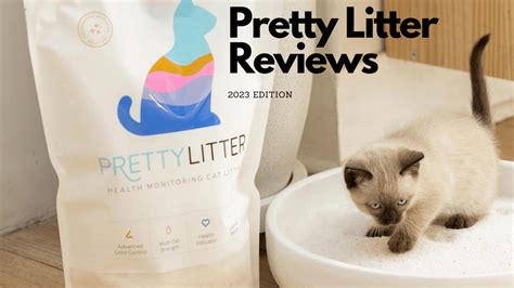 Pretty Litter Reviews Is Pretty Litter Worth It Read This Honest