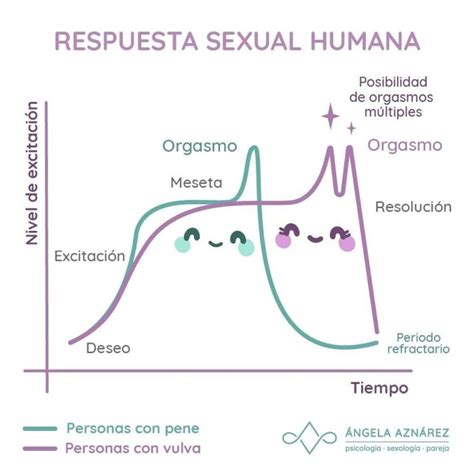 Respuesta Sexual Humana • Ángela Aznárez Sexología Y Psicología