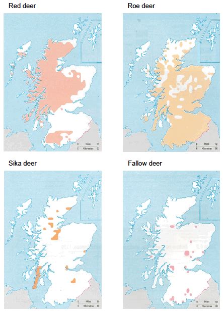 Section 2 National Distributions Populations And Culls The Management Of Wild Deer In