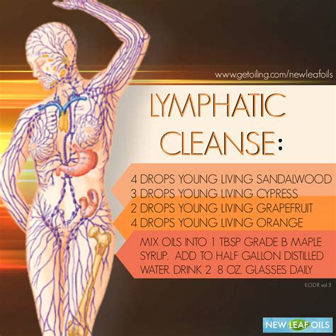 Lymphatic Cleanse New Leaf Oils Erin King Poirier