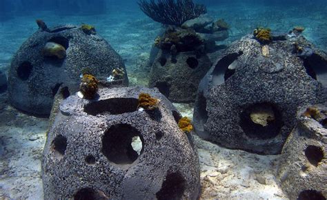 Artificial reefs can be built in a number of. What are Artificial Reefs? | PlanSwift.com