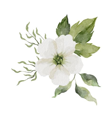 Watercolor Greenery Png 27394811 Png