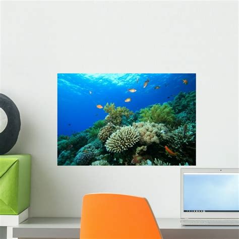 Coral Reef Wall Mural By Wallmonkeys Peel And Stick Graphic 18 In W X