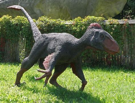 Perhaps The Most Unusual Thing About Utahraptor Aside From Its Size Is When This Dinosaur